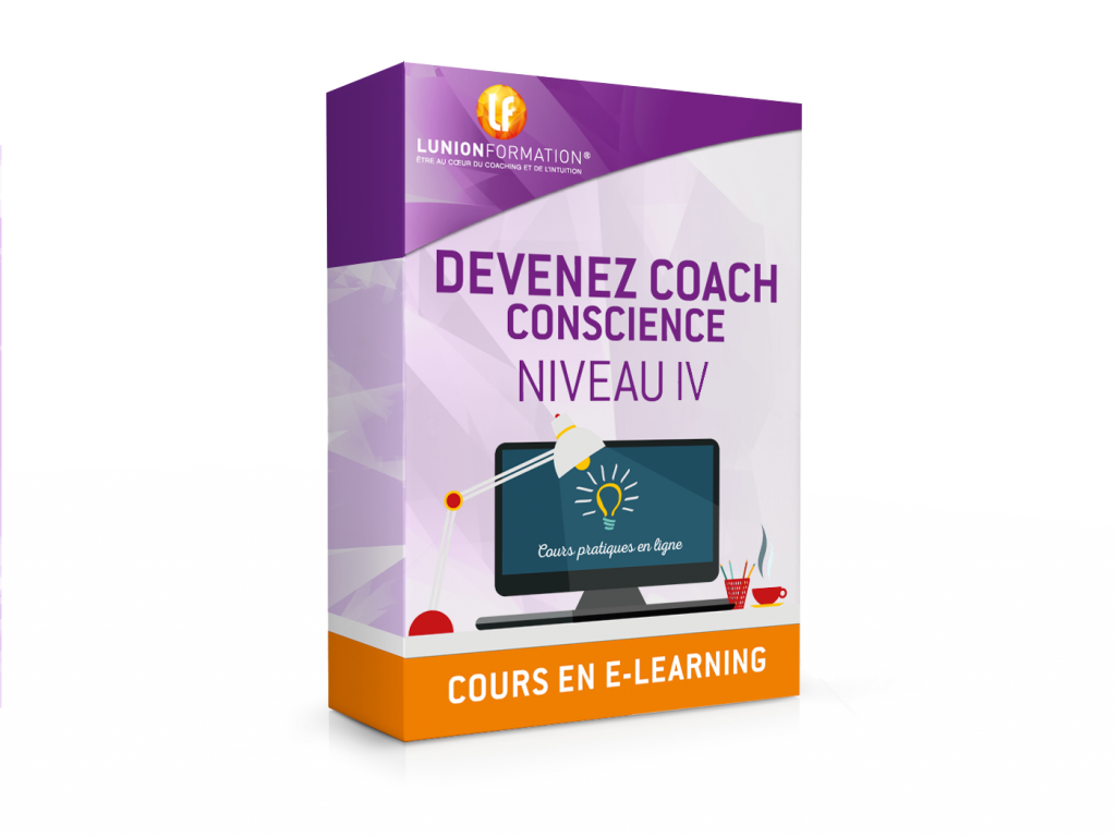 cours e-learning niveau IV conscience
